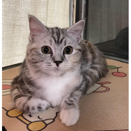 珊珊
